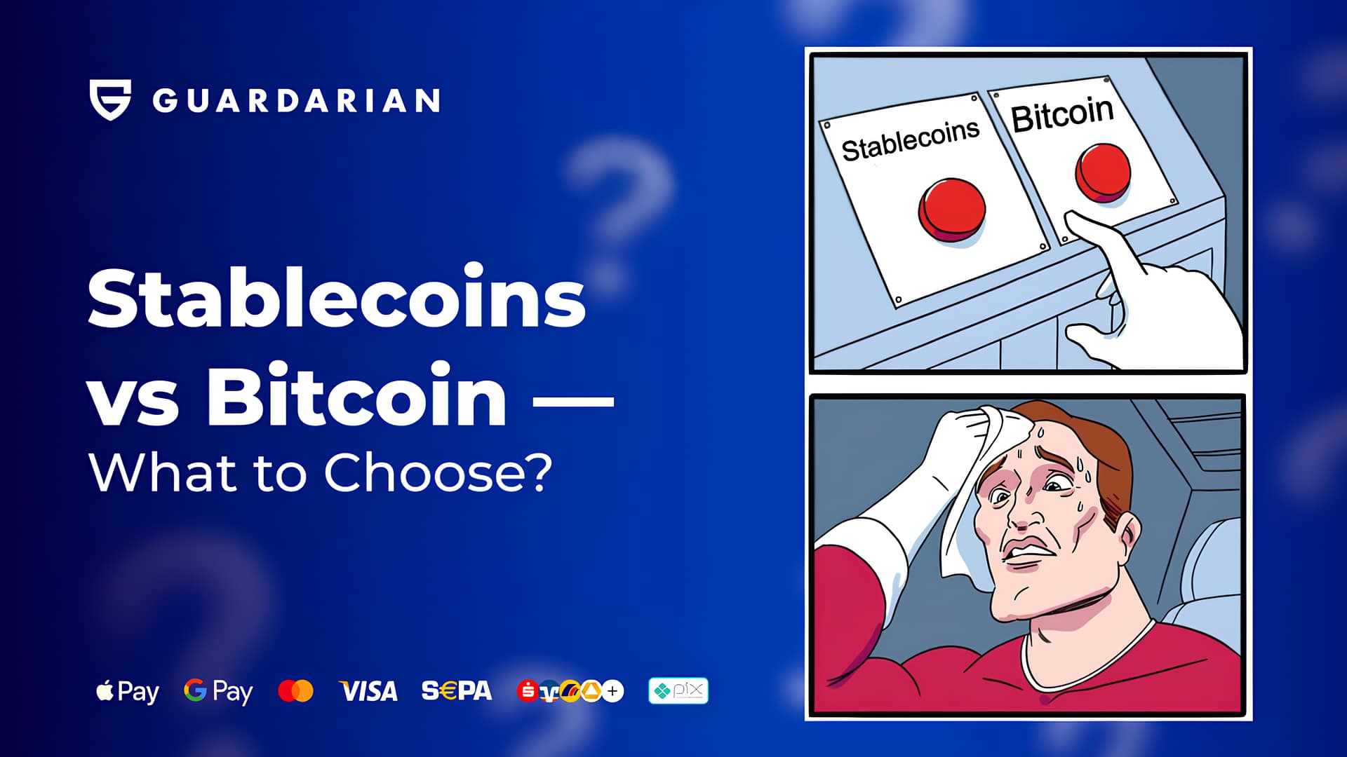 Stablecoins vs Bitcoin meme