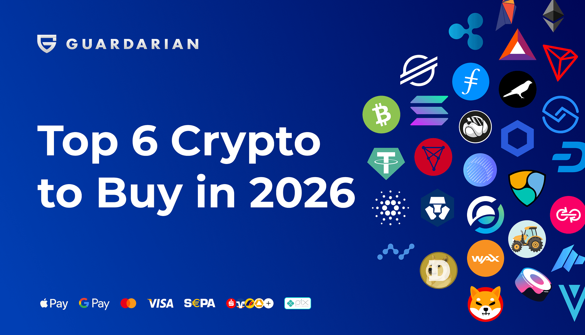 Top 6 Crypto to Buy in 2026